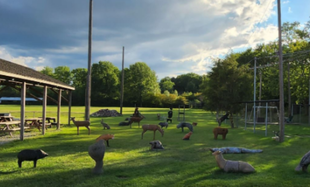 Archery Image 1