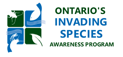 Invading Species Link